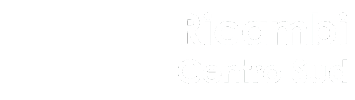 RICAMBI CENTRO SUD SRL